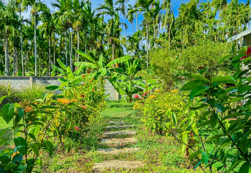 Areca Muine Homestay Homestay Phan Thiết giá rẻ