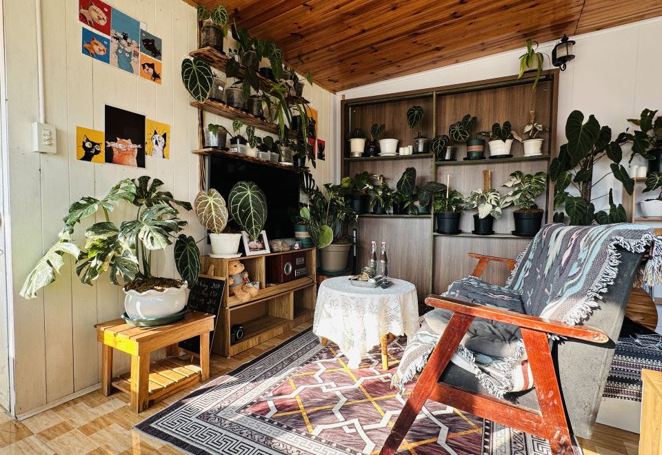 Homieow inn Homestay Đà Lạt giá rẻ