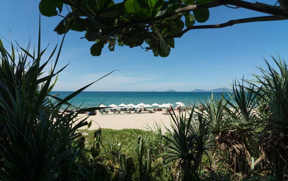 Local Beach Homestay Homestay Đà Nẵng gần biển