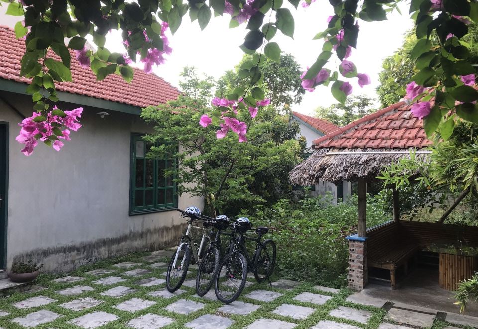 Tam Cốc ecohouse Homestay Ninh Bình giá rẻ