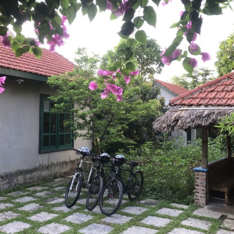 Homestay Ninh Bình giá rẻ